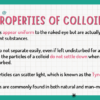 Colloids - Image 4